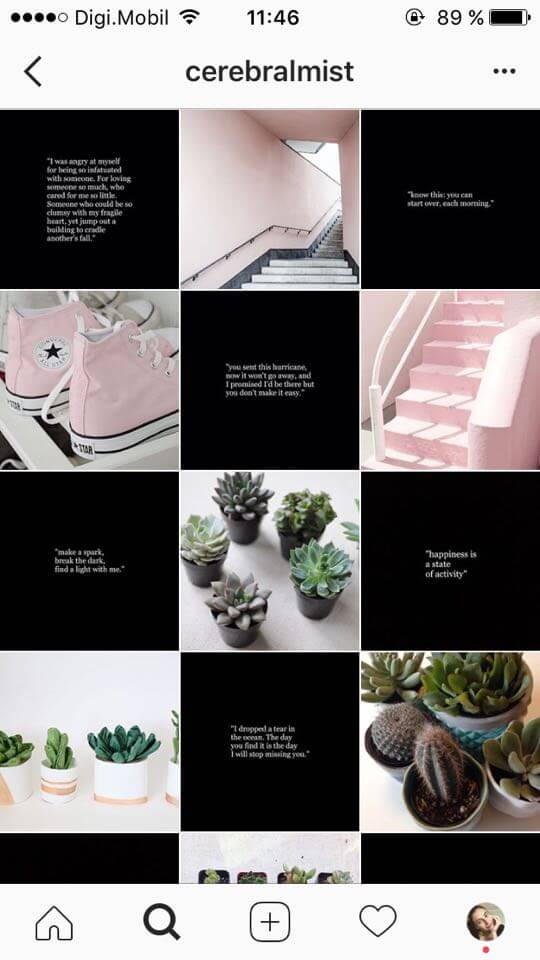 instagram feed themes