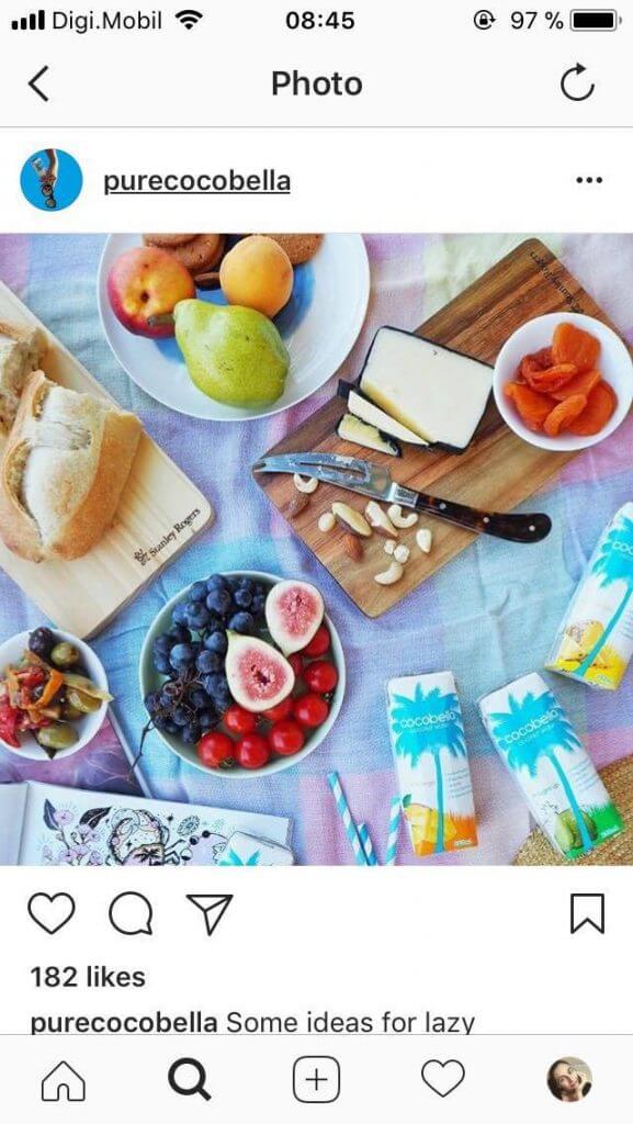 picnic-spreads-purecocobella