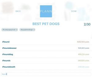 Plann top hashtags