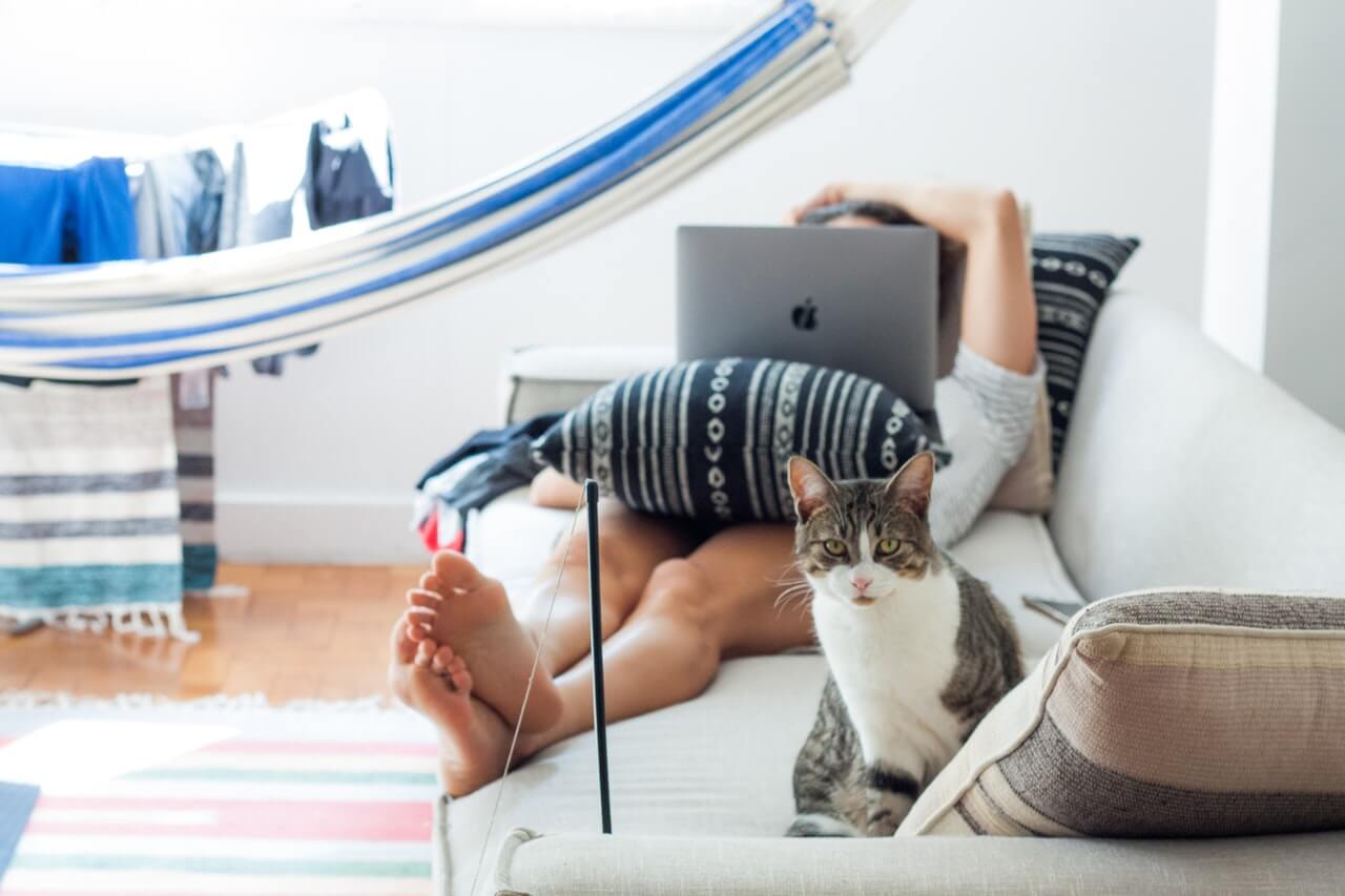 A person lies on a couch using a laptop, partially hidden behind a pillow, with a cat sitting on the armrest and looking at the camera; a hammock and drying clothes are visible in the background, illustrating a relaxed setting for using a social media scheduler | plannthat.com