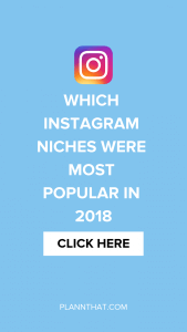  instagram niche