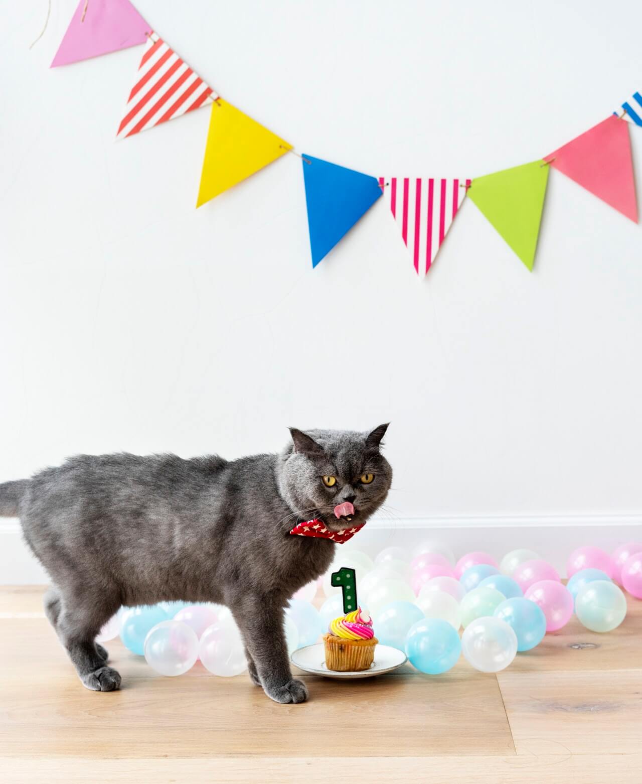A gray cat wearing a red bow tie stands next to a cupcake with a "1" candle, licking its lips. Colorful balloons and a festive banner decorate the background, creating a celebratory atmosphere, perfect for sharing on social media using an Instagram scheduler. | plannthat.com