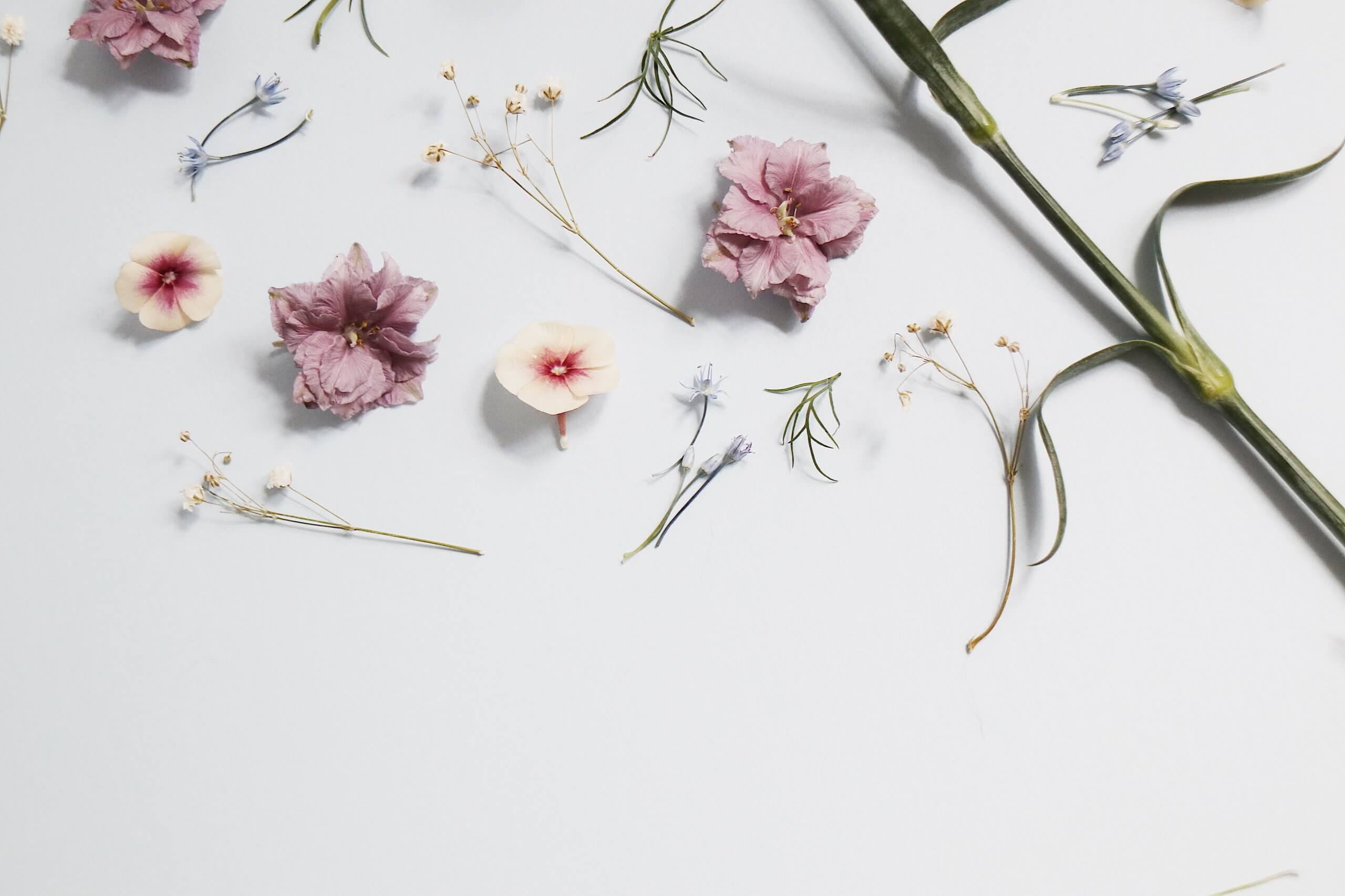 Various pastel-colored flowers and green leaves arranged against a light grey background, perfect for a social media planner | plannthat.com