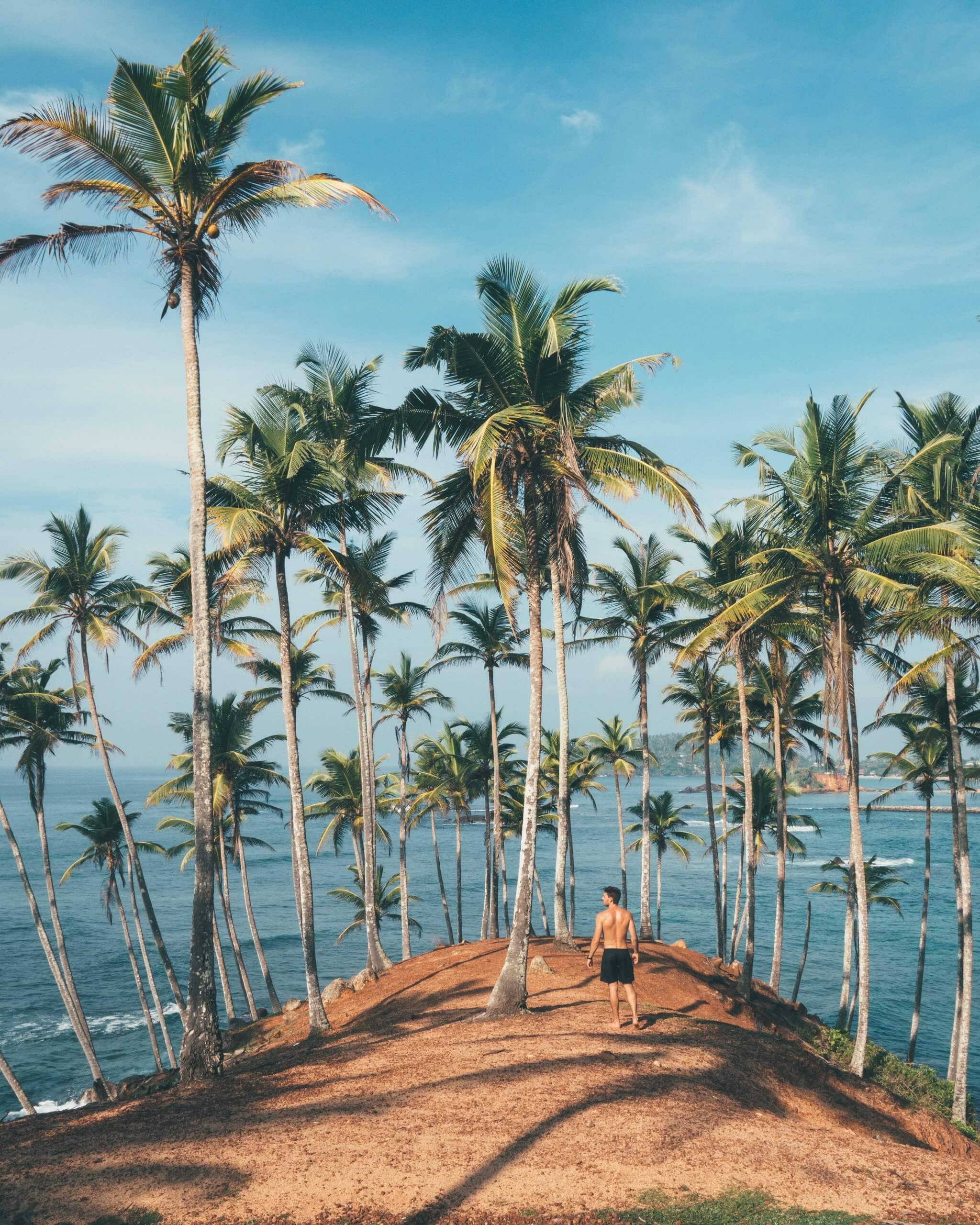 A person stands on a sandy path surrounded by tall palm trees, overlooking a serene ocean under a clear blue sky, exuding a tropical, tranquil vibe perfect for relaxation and nature appreciation, ideal for a social media planner | plannthat.com