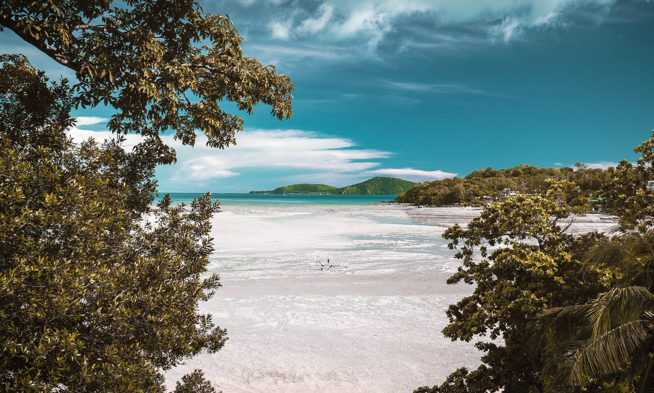 A serene beach scene with turquoise waters, lush green trees framing the view, and distant islands under a partly cloudy sky, evoking peace and natural beauty, perfect for relaxation and escape, ideal for an Instagram scheduler | plannthat.com