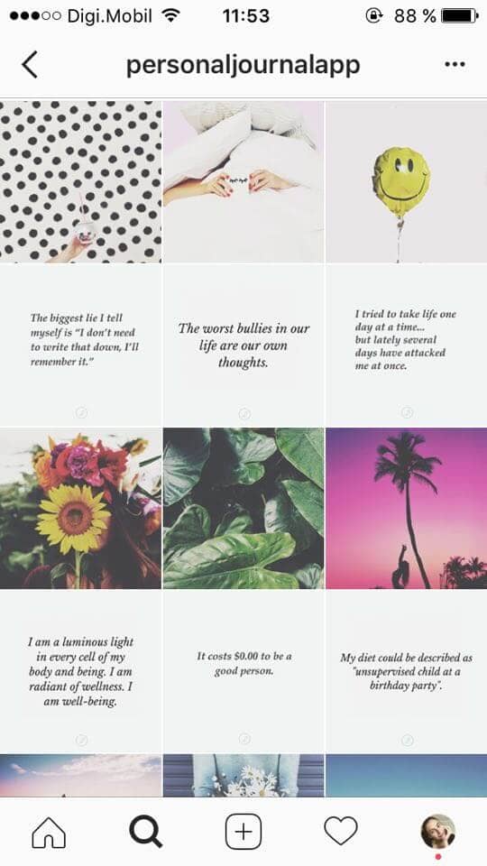 Horizontal Lines Instagram Feed Theme