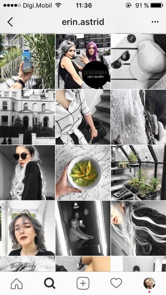 Color Splash Instagram Feed Theme