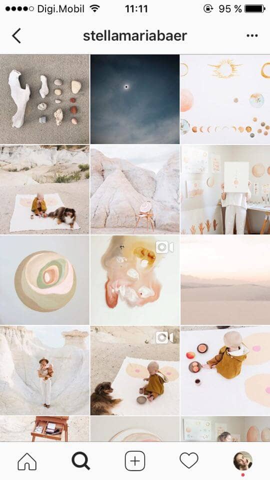 Color Co-ordinated Instagram Feed Theme