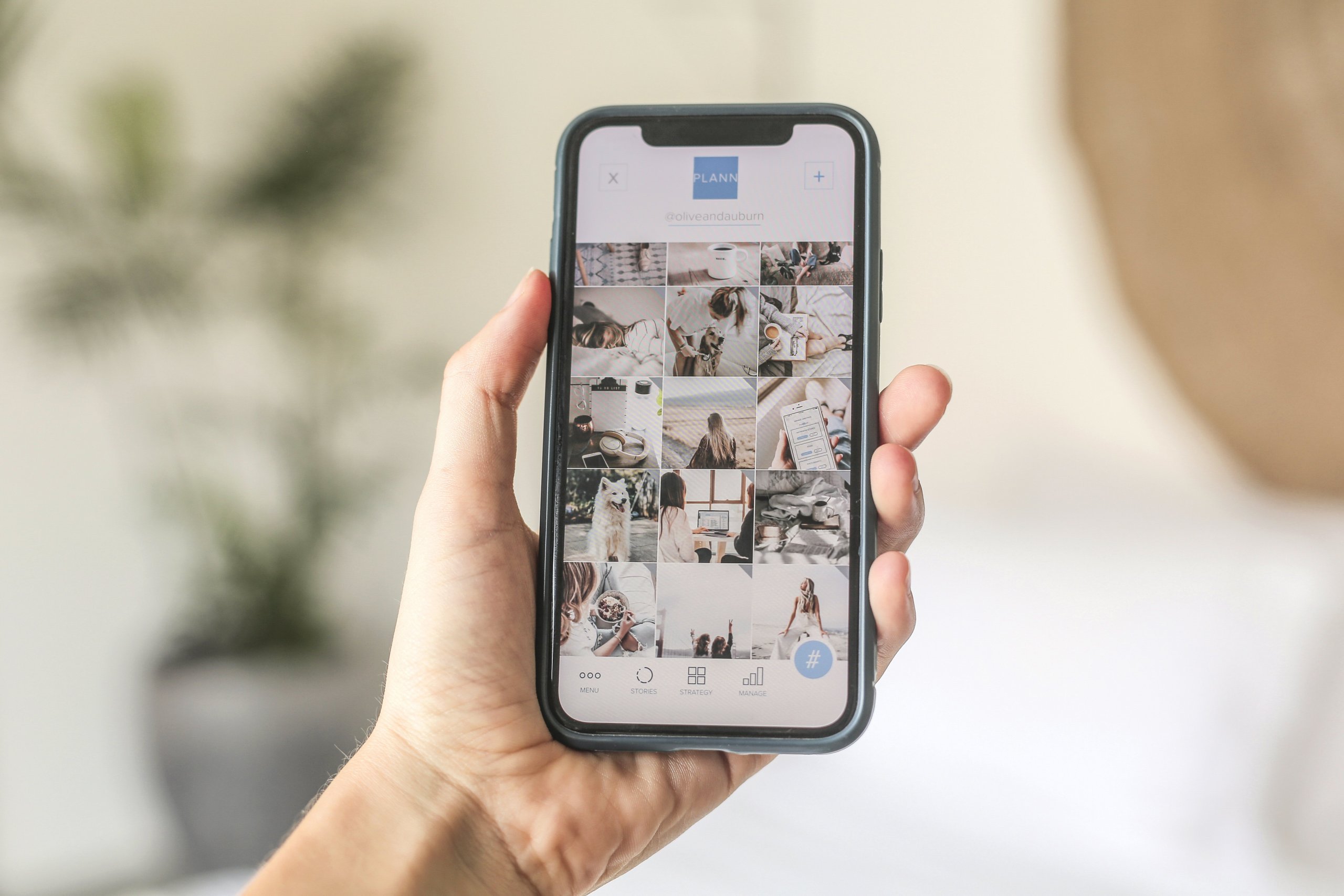 A hand holding a smartphone displaying a grid of photos on the screen, showcasing a social media planner app interface. The background is blurred, focusing attention on the phone and its content. | plannthat.com
