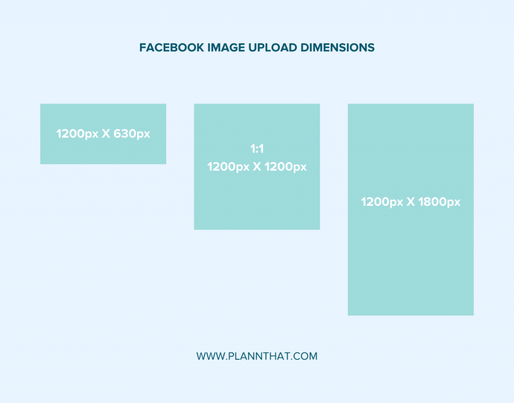 All The Social Media Dimension Sizes You Need To Know In 2024 – Plann