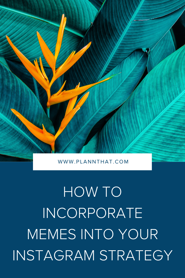 How To Incorporate Memes Into Your Instagram Strategy LaptrinhX News