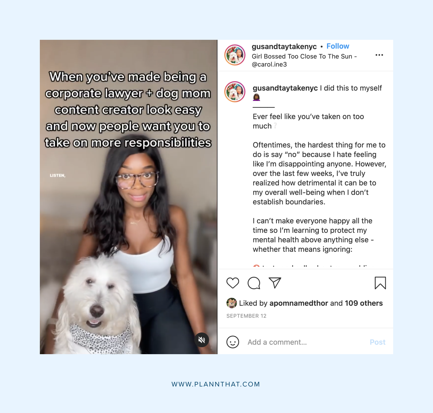 10 Delightful Dogs To Follow On Instagram Plann