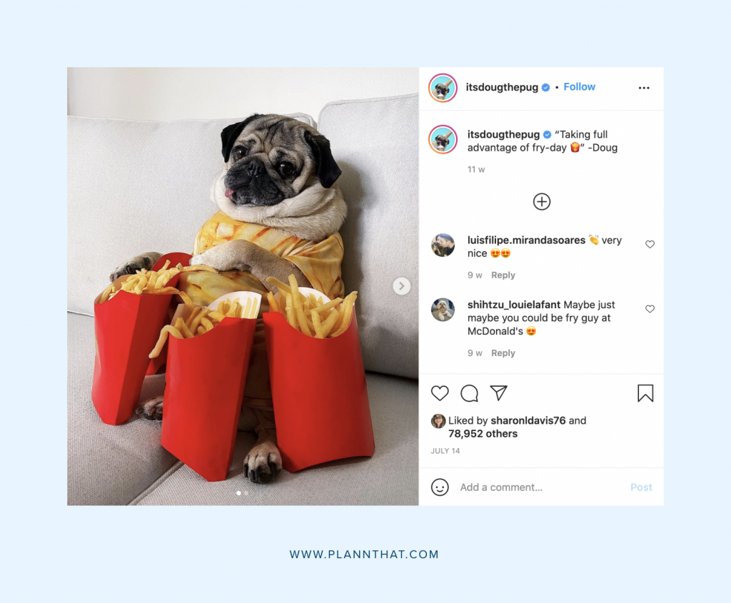 Dog accounts on Instagram