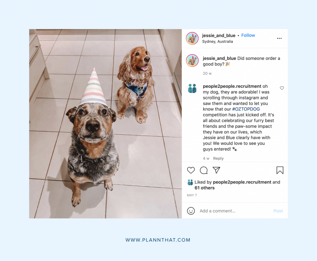 Dog pages on Instagram