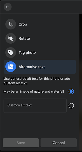 Enter your custom alt text and click on the blue "Save" button when you're done.