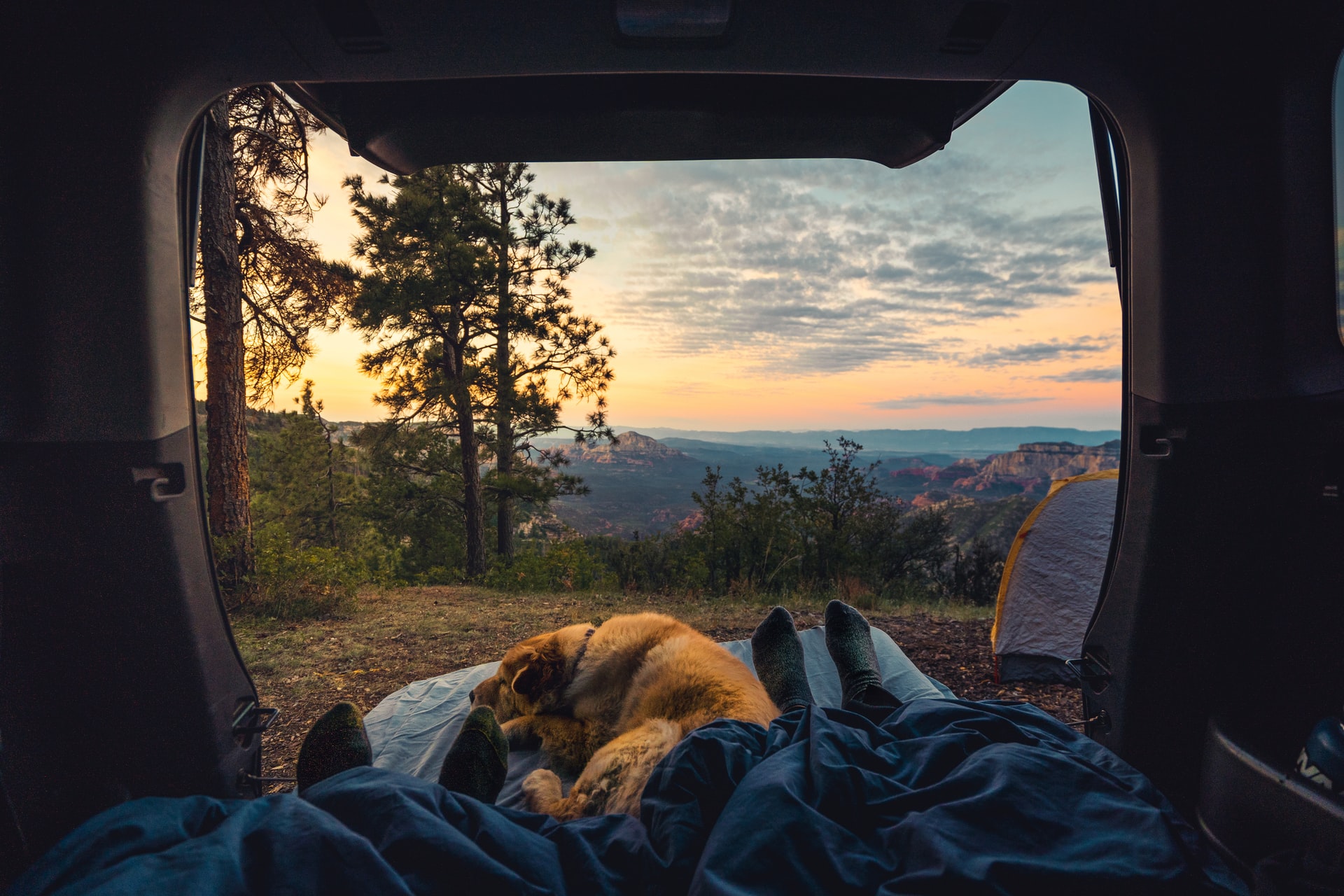 View from inside a tent showing two people and a dog lying down, overlooking a scenic landscape with trees, mountains, and a colorful sunset sky, with another tent pitched nearby, enhancing the camping experience, perfect for sharing on social media using a social media scheduler | plannthat.com