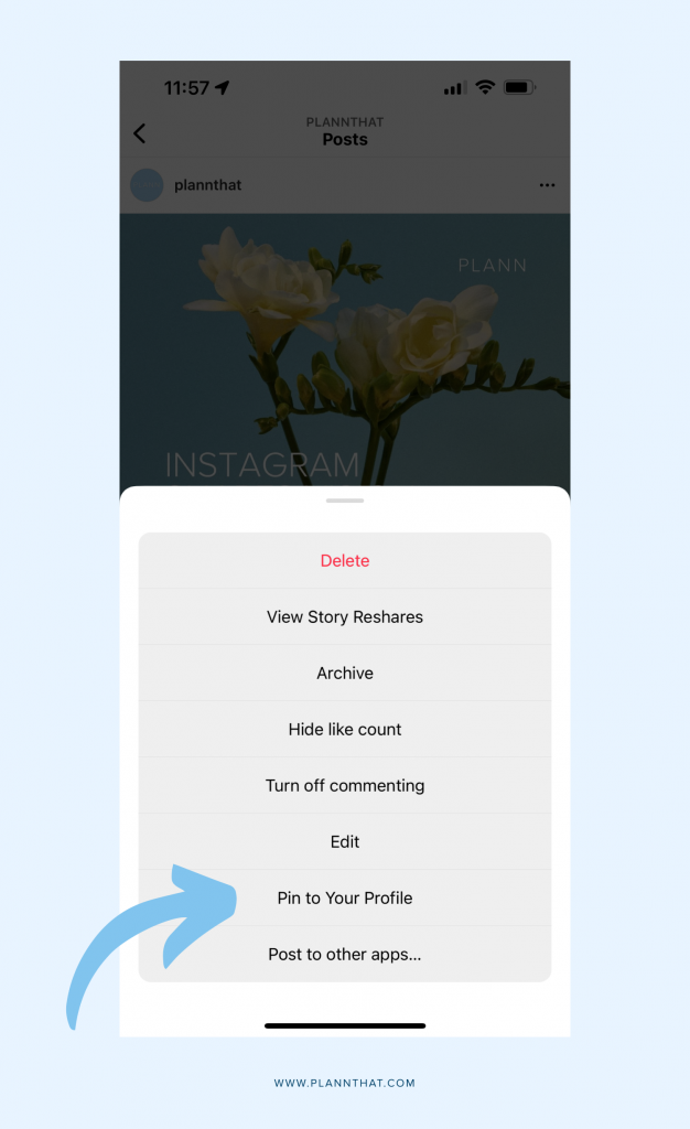You Can Now Pin Reels & Posts To Your Instagram Profile PLANN