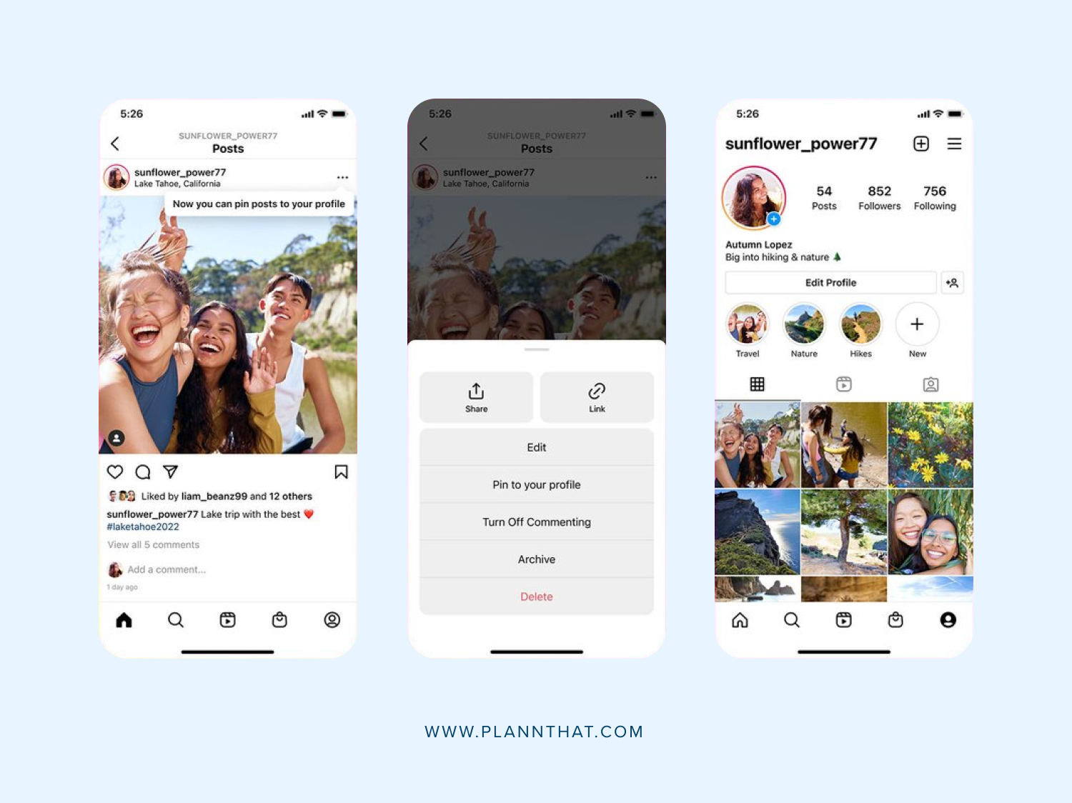 concept hoek markt You Can Now Pin Reels & Posts To Your Instagram Profile | PLANN