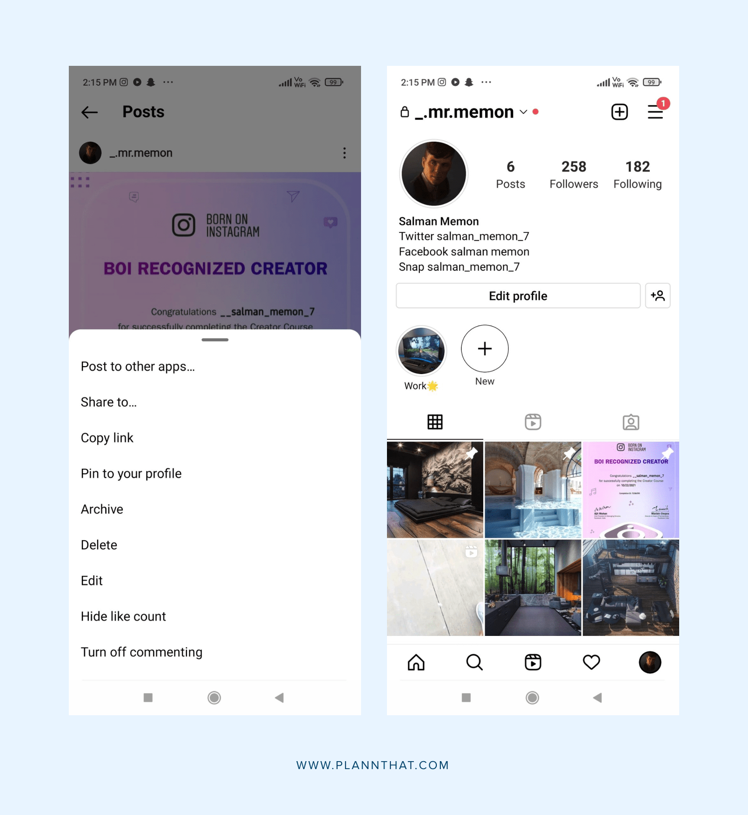 Instagram Pinned Posts