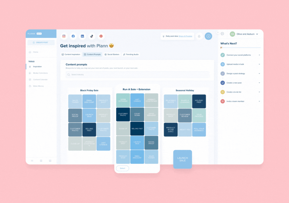 User interface displaying a content planning tool called Plann, featuring sections for content prompts, social media icons, and a "What's Next?" sidebar on a pink background. Categories include Black Friday Sale and Seasonal Holiday | social media planner | plannthat.com