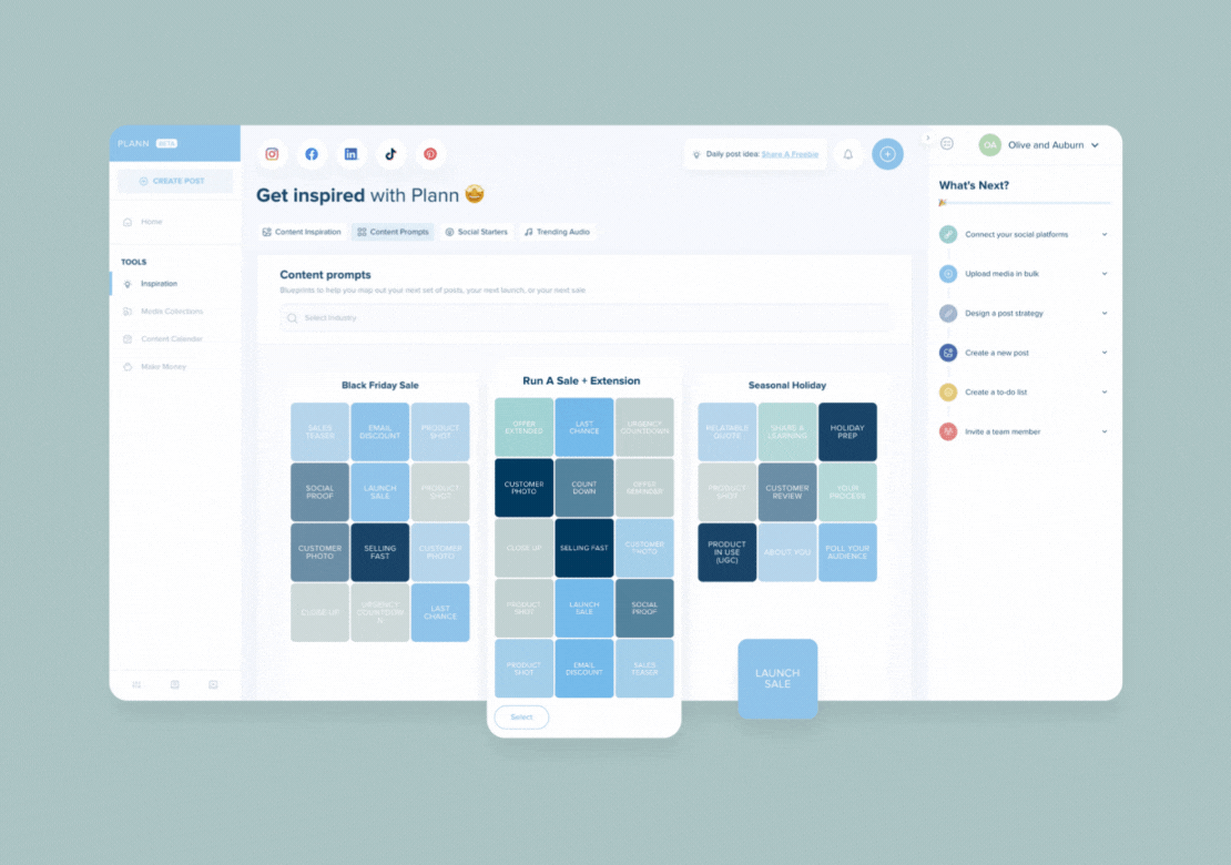 A content planning tool interface with content prompts for Black Friday Sale, Run A Sale + Extension, and Seasonal Holiday. It includes a navigation sidebar, social media icons, and a "What's Next?" checklist on the right, ideal for a social media planner | plannthat.com