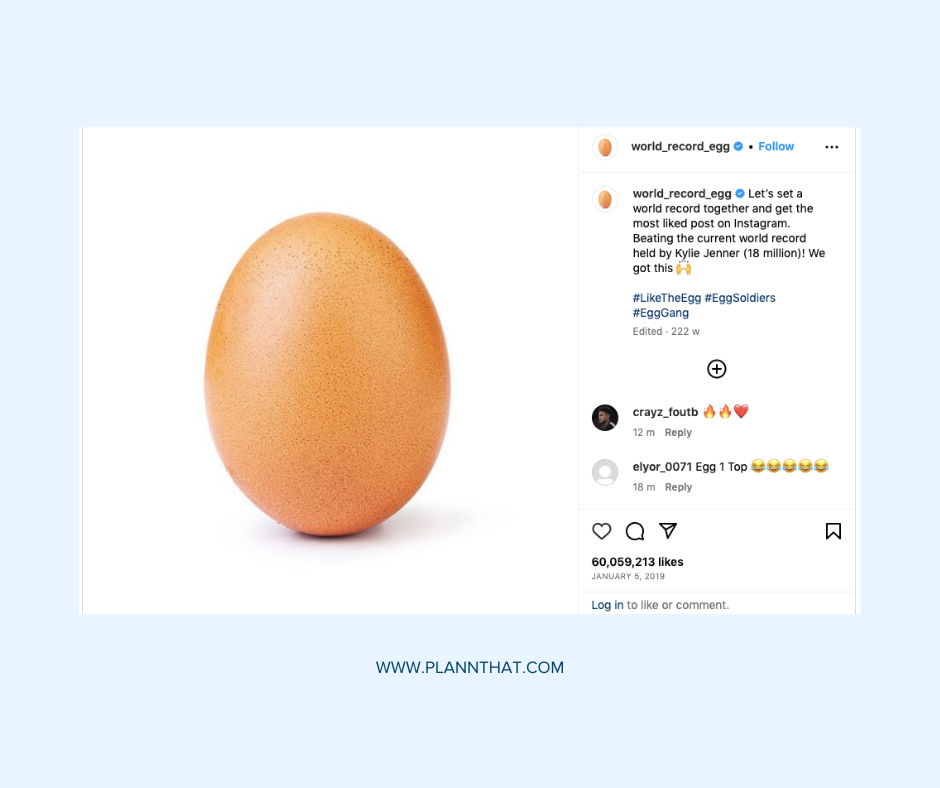 An egg